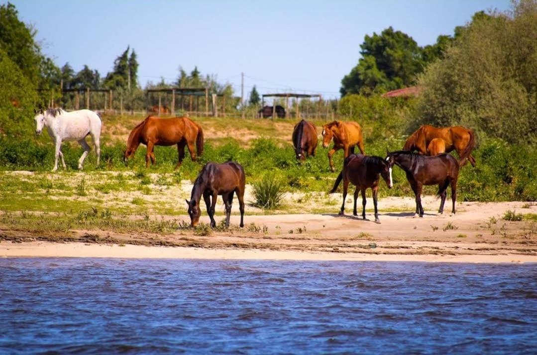 Quinta Marinhais Para Ferias No Ribatejo エクステリア 写真