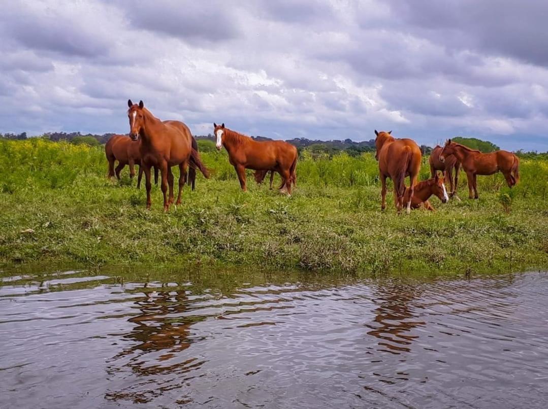 Quinta Marinhais Para Ferias No Ribatejo エクステリア 写真