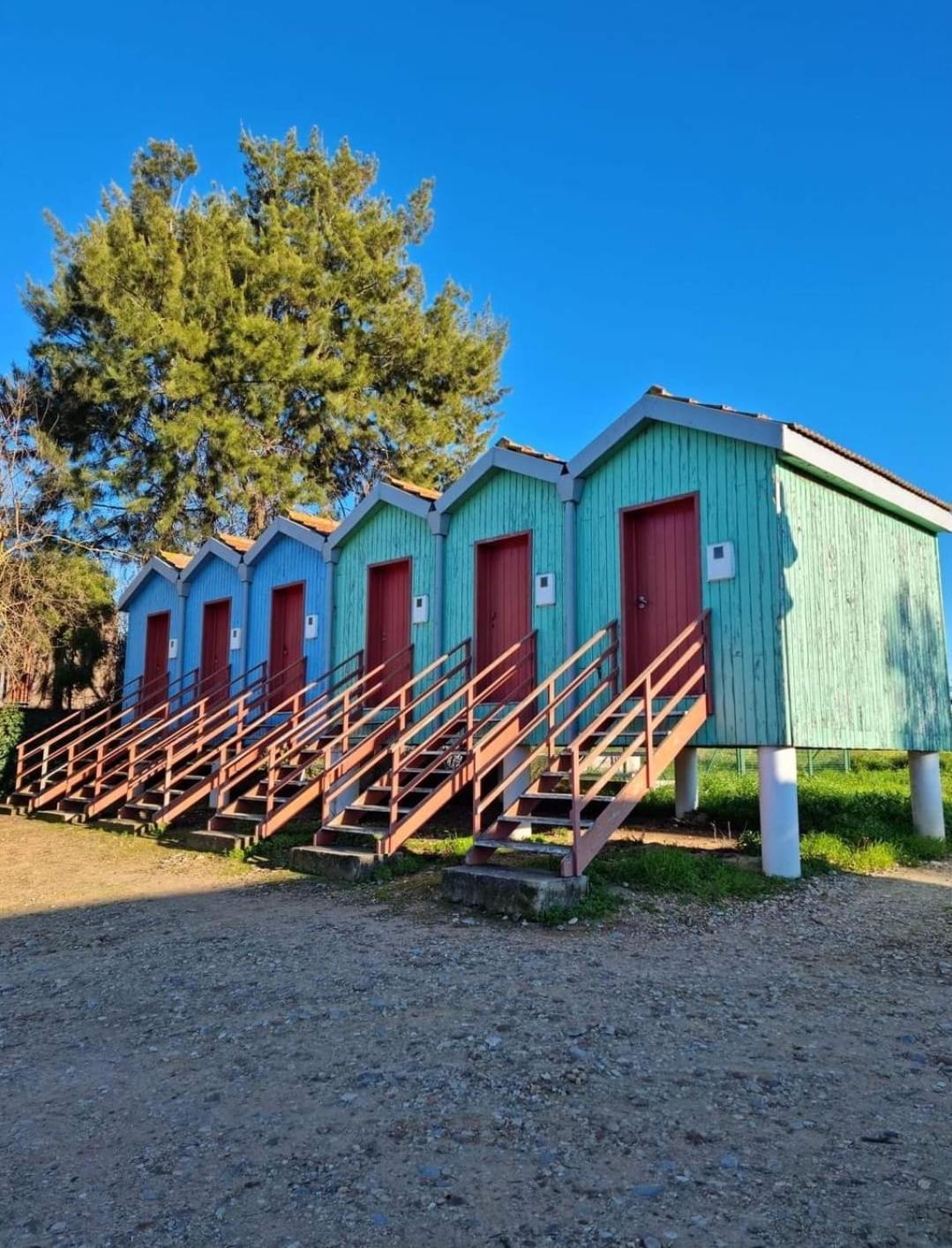 Quinta Marinhais Para Ferias No Ribatejo エクステリア 写真